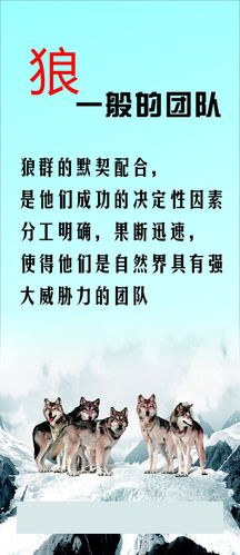 博鱼电竞:江南仪器股份有限公司(新江南仪器有限公司)